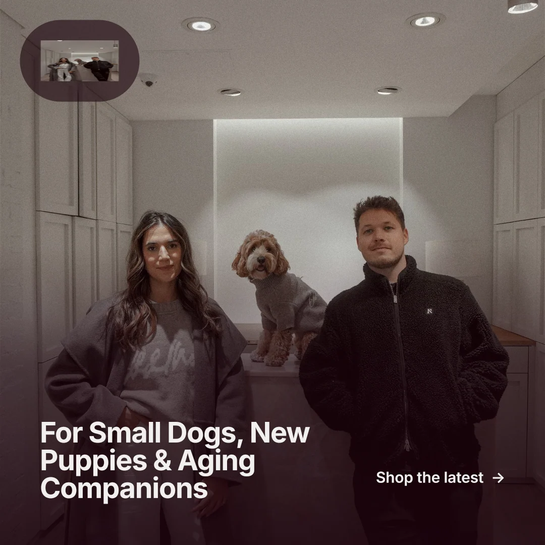 Instagram post for By Teddy: "For Small Dogs, New Puppies & Aging Companions". Swiss style, image led layout, dark palette in black, grey.