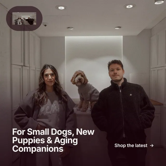 Instagram post for By Teddy: "For Small Dogs, New Puppies & Aging Companions". Swiss style, image led layout, dark palette in black, grey.