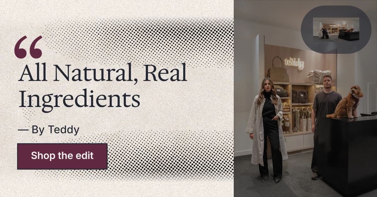 Social ad for By Teddy: "All Natural, Real Ingredients". Ink sticker style, quote layout, light palette in grey, black, orange.