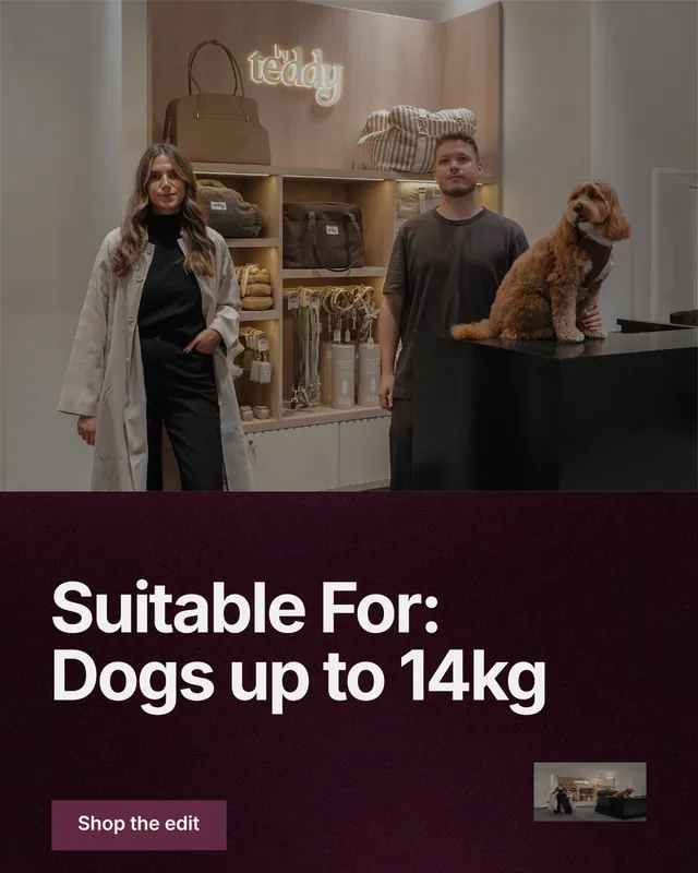 Instagram portrait post for By Teddy: "Suitable For: Dogs up to 14kg". Swiss style, bottom layout, dark palette in black, grey, red.