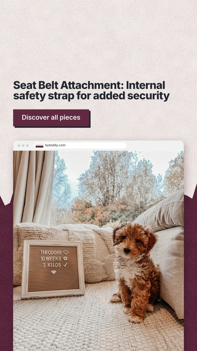 Instagram story for By Teddy: "Seat Belt Attachment: Internal safety strap for added security". Paper trio style, browser layout, light palette in orange, grey, red.