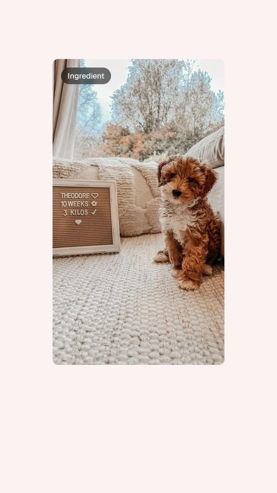 Video for By Teddy: "Seat Belt Attachment: Internal safety strap for added security". Before after wipe, 6.0 s, light palette.