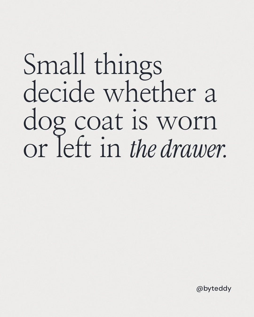 Instagram portrait post for By Teddy: "Small things decide whether a dog coat is worn or left in the drawer." Editorial style, technique:mixed type lockup layout, light palette in white.