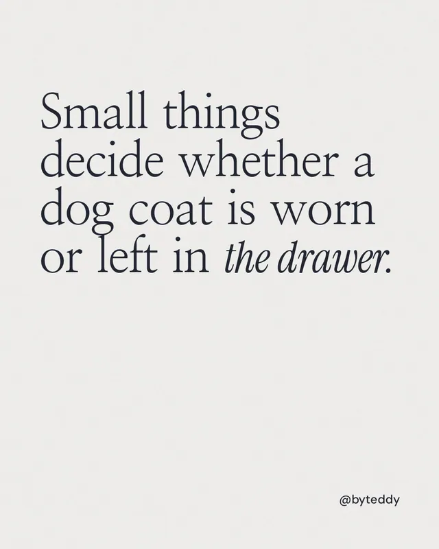Instagram portrait post for By Teddy: "Small things decide whether a dog coat is worn or left in the drawer." Editorial style, technique:mixed type lockup layout, light palette in white.