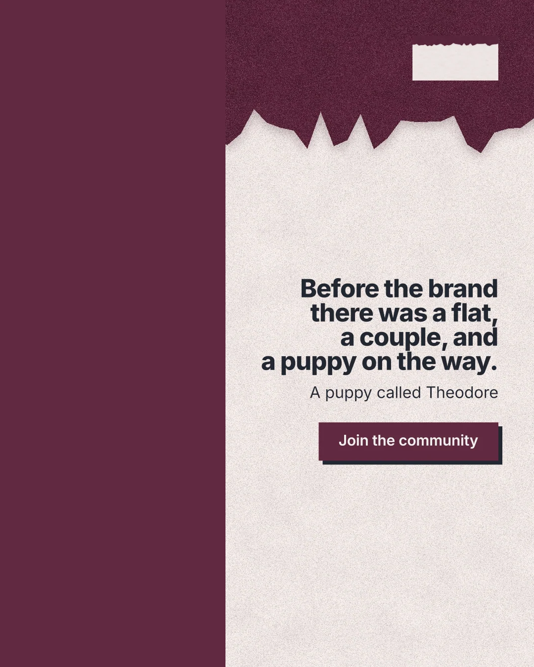 Instagram portrait post for By Teddy: "Before the brand there was a flat, a couple, and a puppy on the way." Paper trio style, right layout, light palette in red, orange, pink.