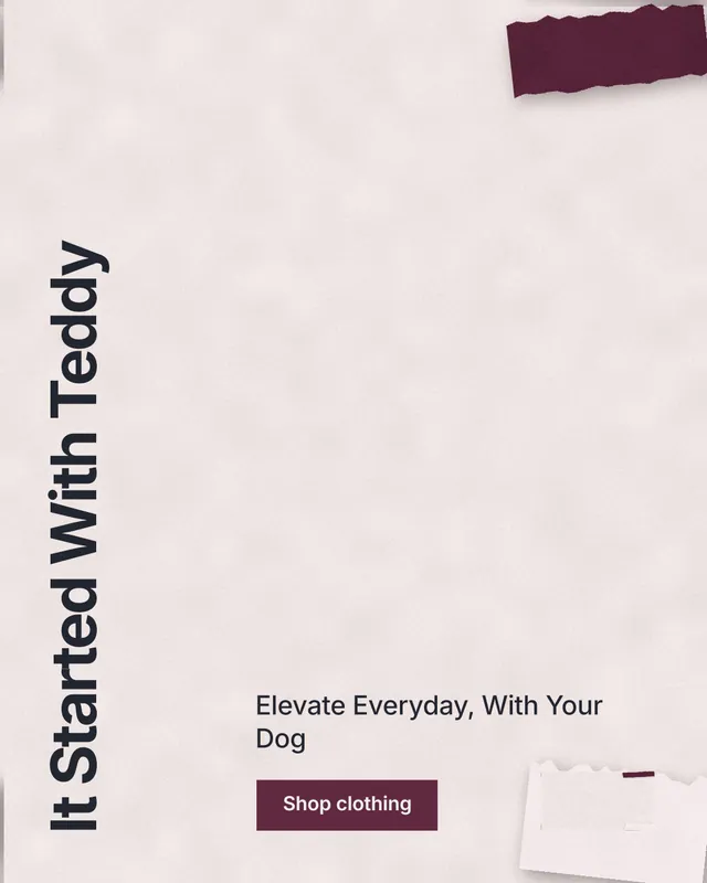 Instagram portrait post for By Teddy: "It Started With Teddy". Swiss style, vertical layout, light palette in red, white, grey.