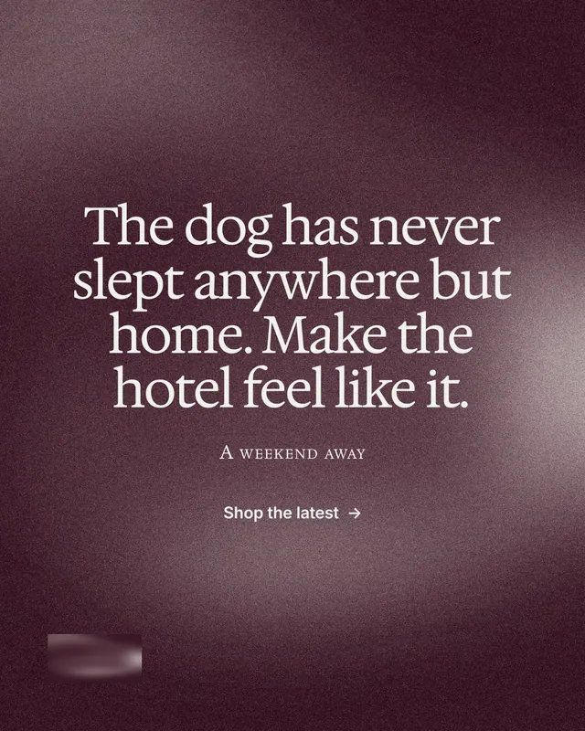 Instagram portrait post for By Teddy: "The dog has never slept anywhere but home. Make the hotel feel like it." Cyanotype style, smallcaps layout, dark palette in red, grey.
