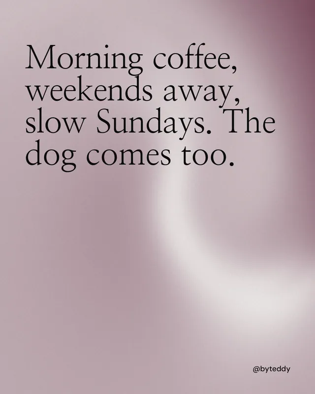 Instagram portrait post for By Teddy: "Morning coffee, weekends away, slow Sundays. The dog comes too." Auto 4x5 style, technique:shader field layout, light palette in grey, white.