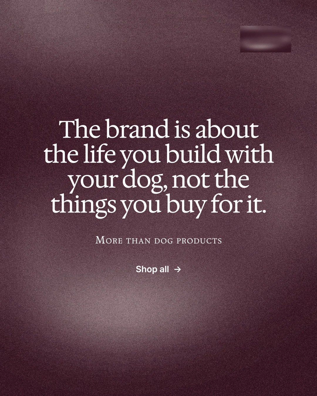 Instagram portrait post for By Teddy: "The brand is about the life you build with your dog, not the things you buy for it." Cyanotype style, smallcaps layout, dark palette in red, grey.