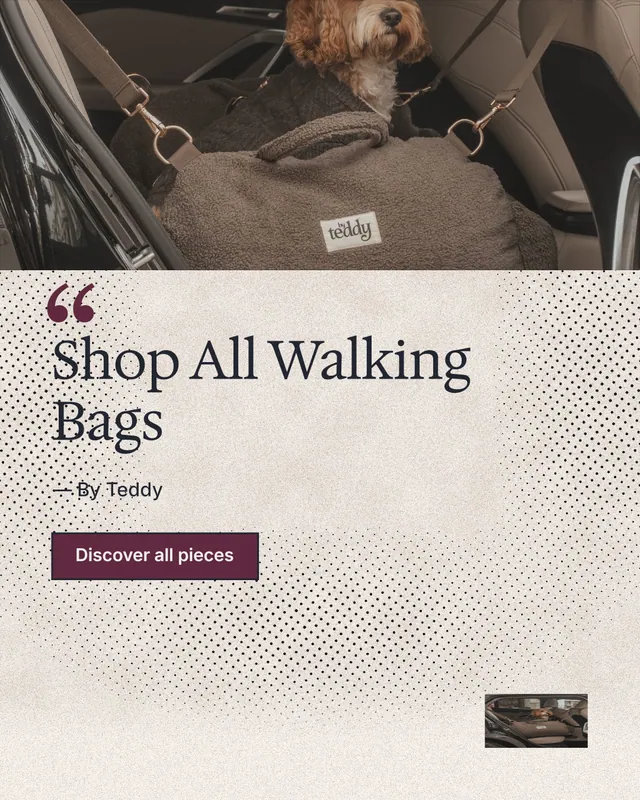 Instagram portrait post for By Teddy: "Shop All Walking Bags". Ink sticker style, quote layout, light palette in black, white, orange.