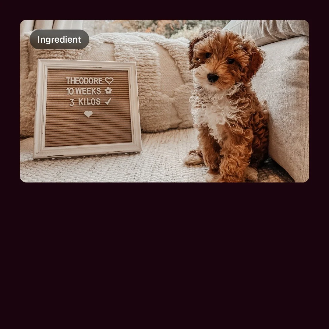 Video for By Teddy: "Play, But Make It Chic". Before after wipe, 6.0 s, dark palette.