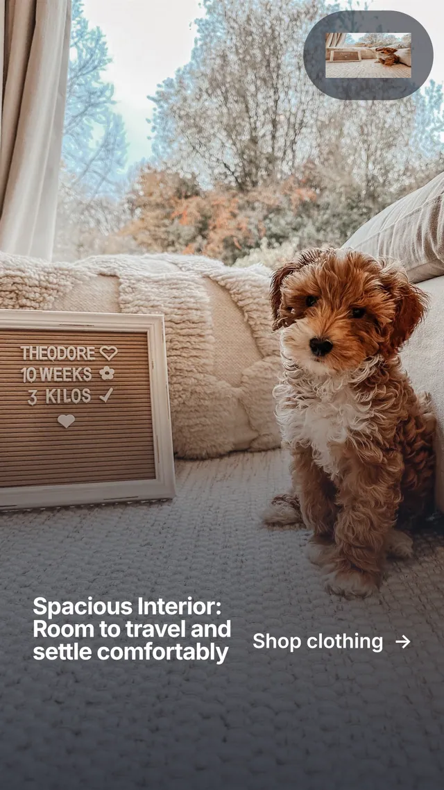 Instagram story for By Teddy: "Spacious Interior: Room to travel and settle comfortably". Swiss style, image led layout, light palette in grey, white.