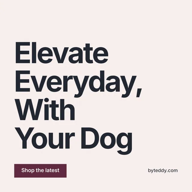 Instagram post for By Teddy: "Elevate Everyday, With Your Dog". Swiss style, poster layout, light palette in white, grey.