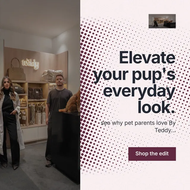 Instagram post for By Teddy: "Elevate your pup's everyday look." Swiss style, right layout, light palette in grey, black, white.