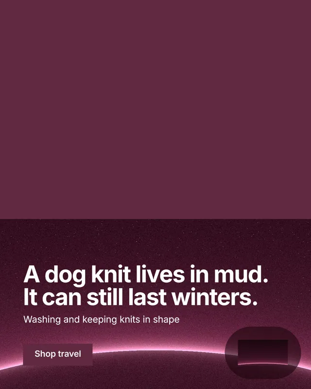 Instagram portrait post for By Teddy: "A dog knit lives in mud. It can still last winters." Swiss style, bottom layout, dark palette in red, pink.