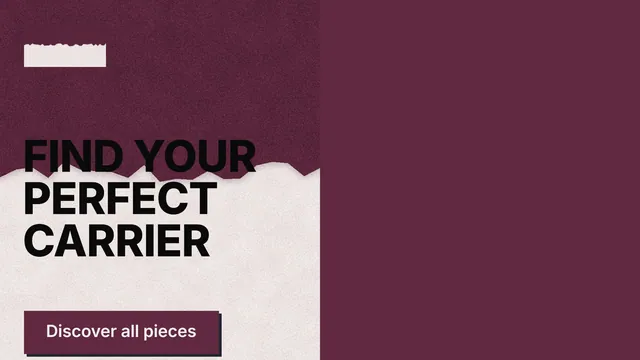 Landscape graphic for By Teddy: "FIND YOUR PERFECT CARRIER". Paper trio style, bottom layout, dark palette in red, grey, pink.
