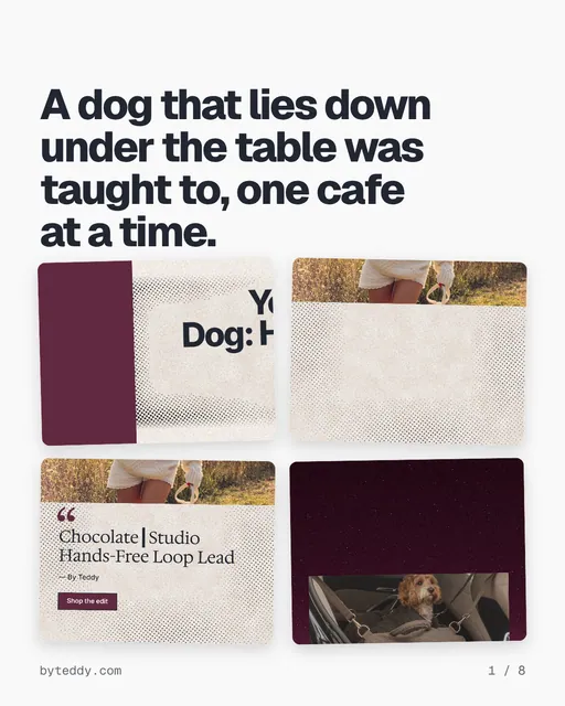 Carousel for By Teddy: "A dog that lies down under the table was taught to, one cafe at a time.". Collection carousel, 8 slides, light palette.