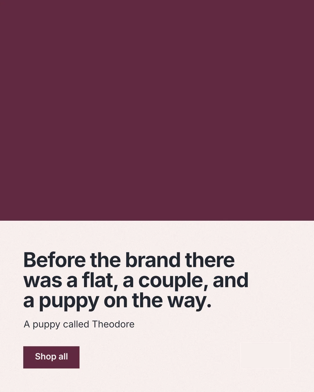 Instagram portrait post for By Teddy: "Before the brand there was a flat, a couple, and a puppy on the way." Swiss style, bottom layout, light palette in red, white, grey.