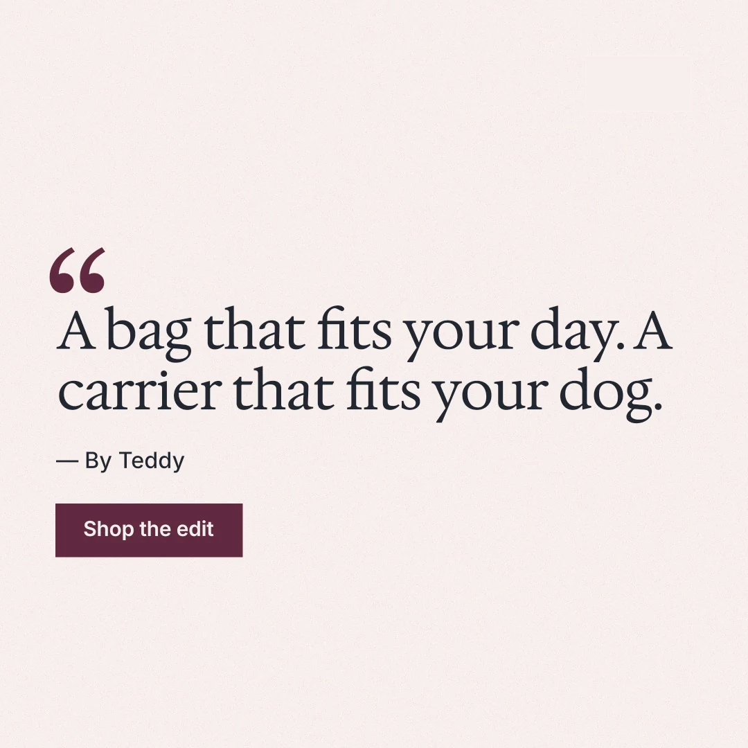 Instagram post for By Teddy: "A bag that fits your day. A carrier that fits your dog." Swiss style, quote layout, light palette in white.