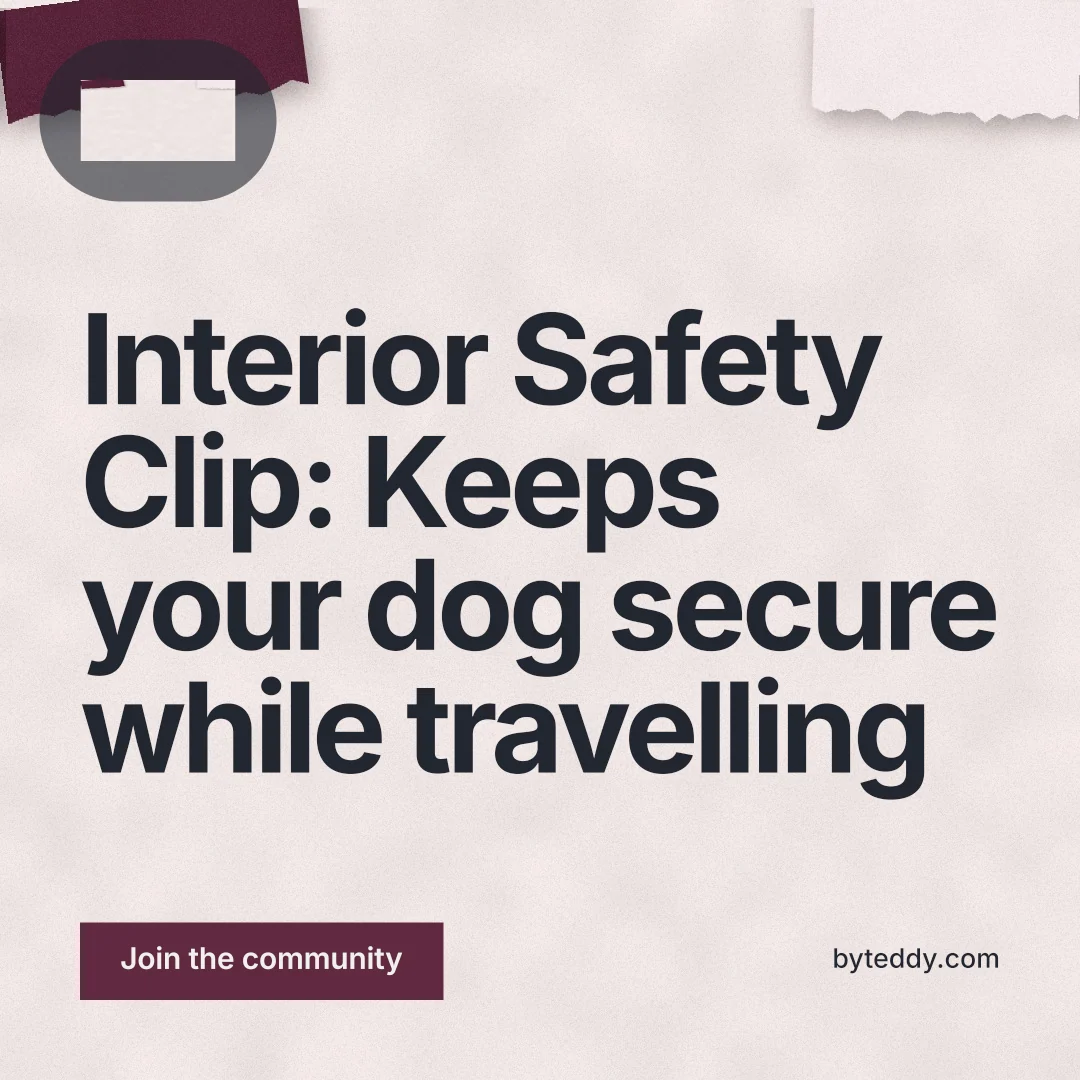 Instagram post for By Teddy: "Interior Safety Clip: Keeps your dog secure while travelling". Swiss style, poster layout, light palette in red, grey, white.