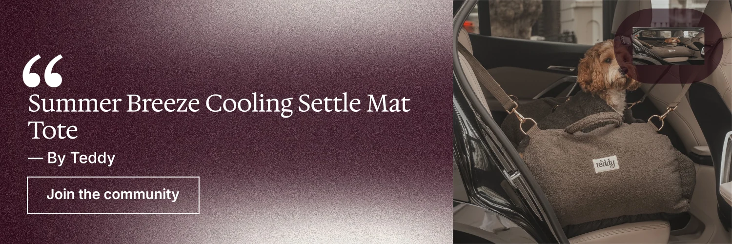 X header for By Teddy: "Summer Breeze Cooling Settle Mat Tote". Cyanotype style, quote layout, dark palette in grey, red, black.