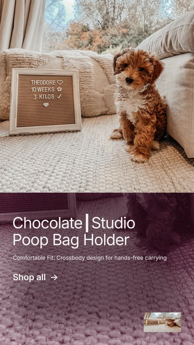 Instagram story for By Teddy: "Chocolate┃Studio Poop Bag Holder". Film still style, bottom layout, light palette in grey, red.