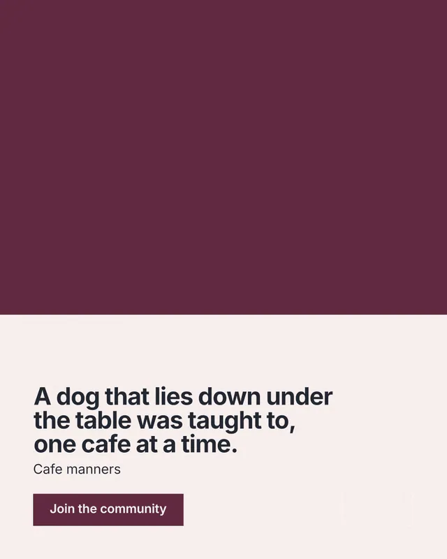 Instagram portrait post for By Teddy: "A dog that lies down under the table was taught to, one cafe at a time." Swiss style, bottom layout, light palette in red, white, grey.