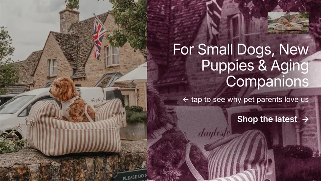 Landscape graphic for By Teddy: "For Small Dogs, New Puppies & Aging Companions". Film still style, right layout, dark palette in grey, red.