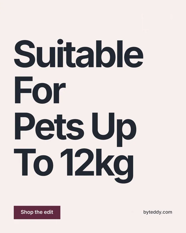 Instagram portrait post for By Teddy: "Suitable For Pets Up To 12kg". Swiss style, poster layout, light palette in white, grey.