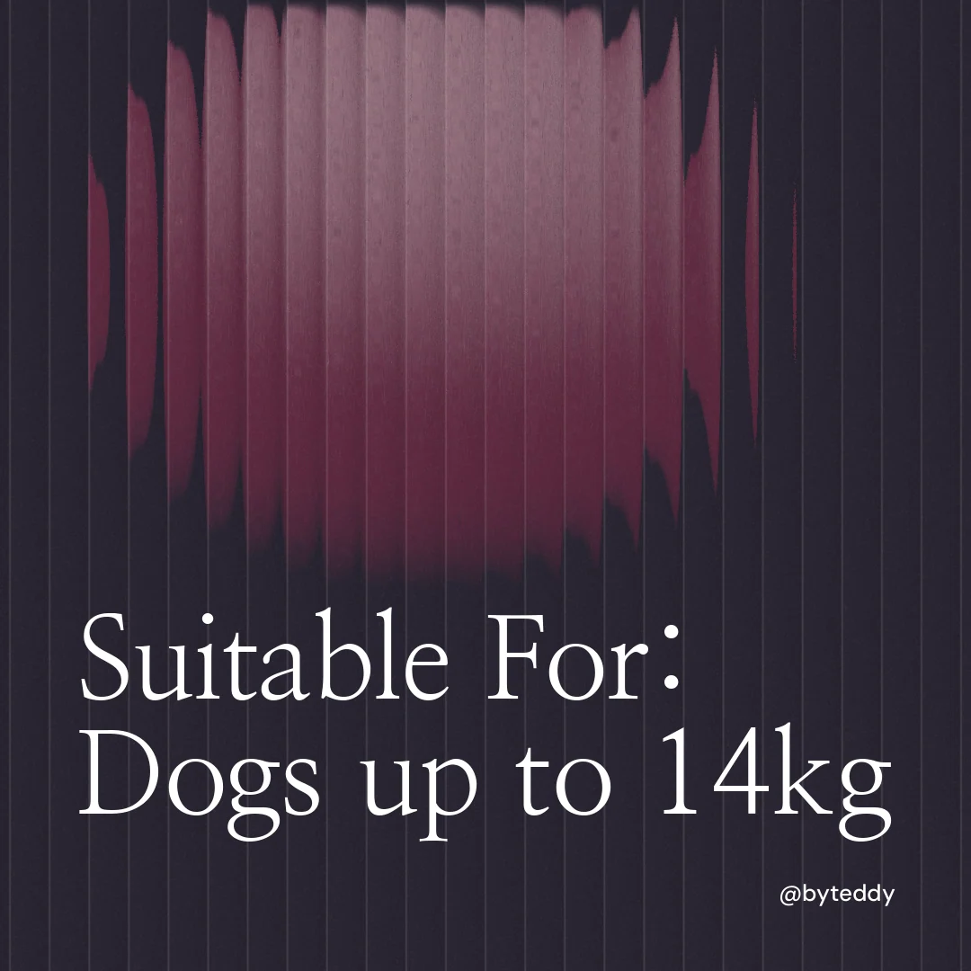 Instagram post for By Teddy: "Suitable For: Dogs up to 14kg". Auto 1x1 style, technique:shader field layout, dark palette in black, pink, grey.
