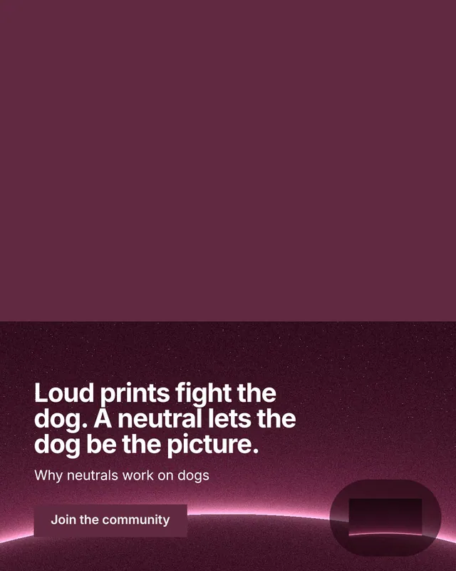 Instagram portrait post for By Teddy: "Loud prints fight the dog. A neutral lets the dog be the picture." Swiss style, bottom layout, dark palette in red, pink.