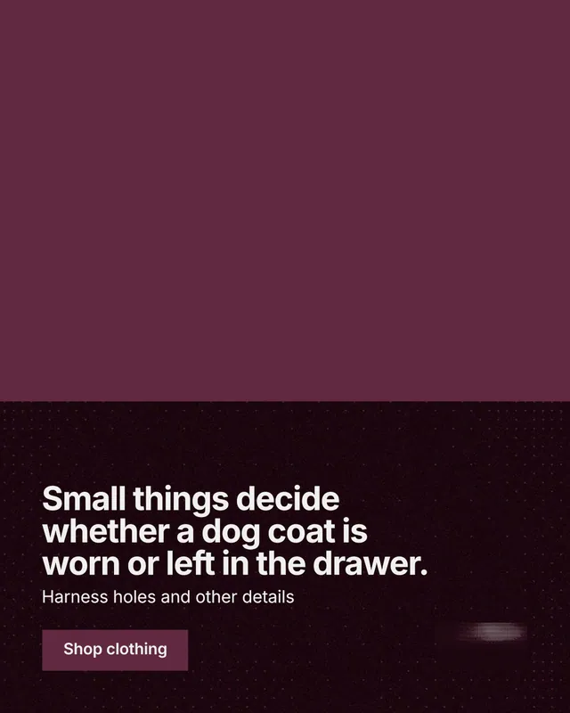 Instagram portrait post for By Teddy: "Small things decide whether a dog coat is worn or left in the drawer." Swiss style, bottom layout, dark palette in red, black.