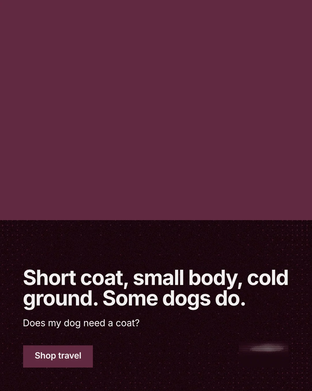 Instagram portrait post for By Teddy: "Short coat, small body, cold ground. Some dogs do." Swiss style, bottom layout, dark palette in red, black.