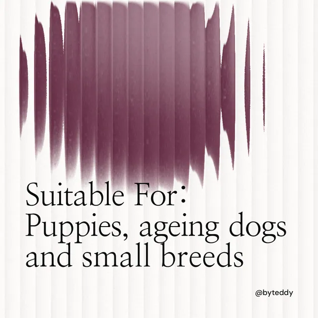 Instagram post for By Teddy: "Suitable For: Puppies, ageing dogs and small breeds". Auto 1x1 style, technique:shader field layout, light palette in red, white, grey.