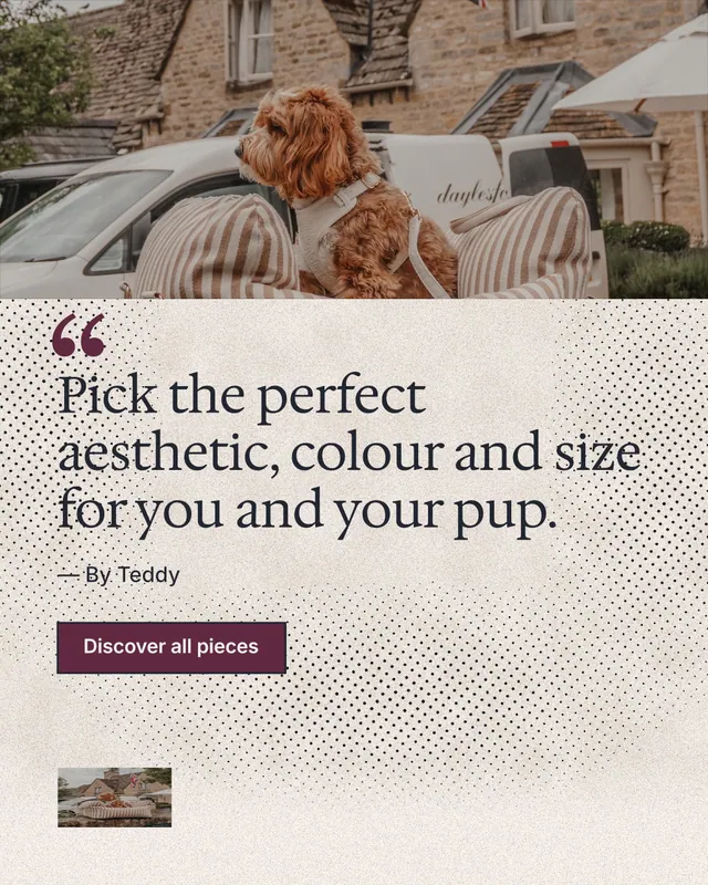 Instagram portrait post for By Teddy: "Pick the perfect aesthetic, colour and size for you and your pup." Ink sticker style, quote layout, light palette in white, orange, grey.