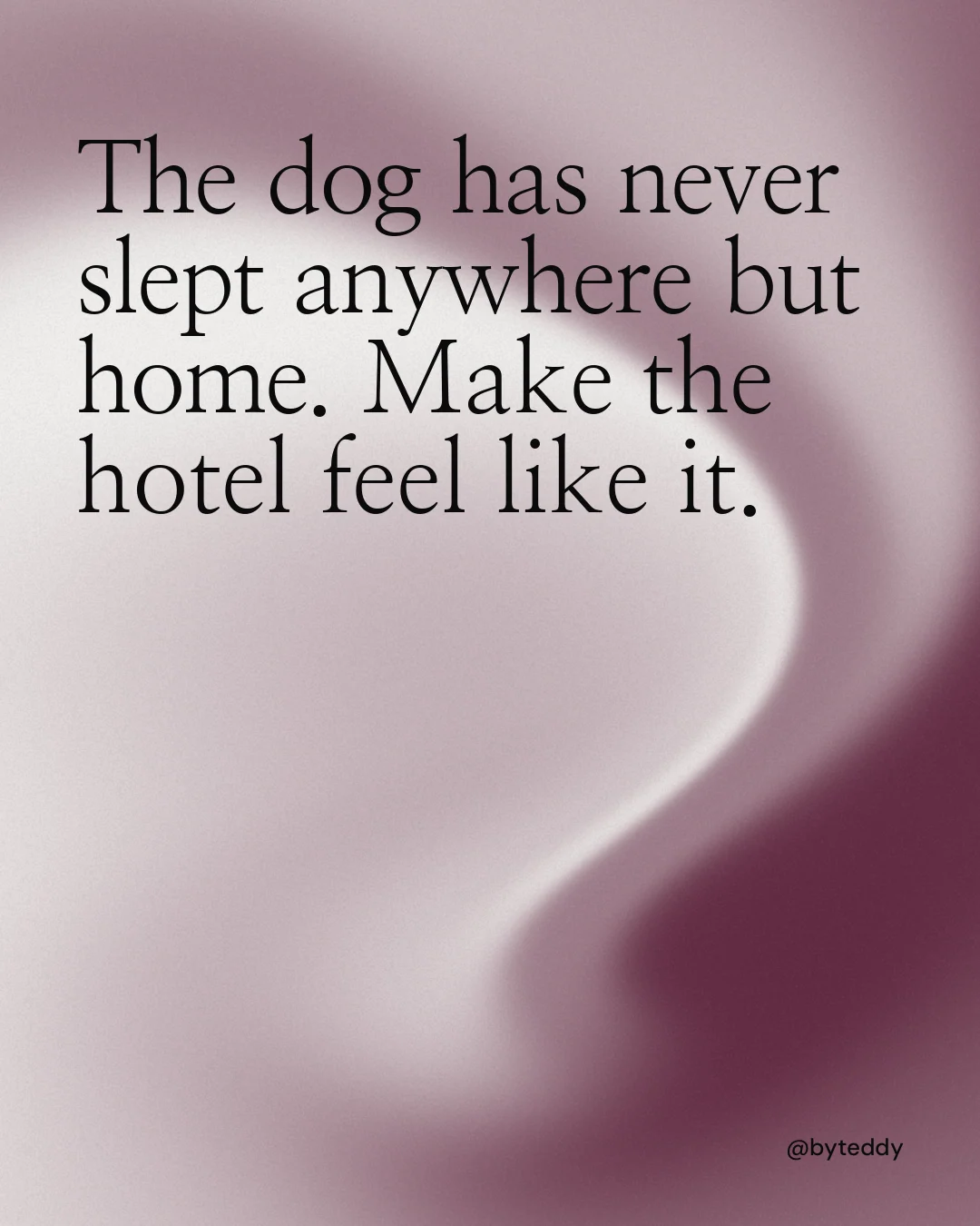 Instagram portrait post for By Teddy: "The dog has never slept anywhere but home. Make the hotel feel like it." Auto 4x5 style, technique:shader field layout, light palette in grey, red, white.