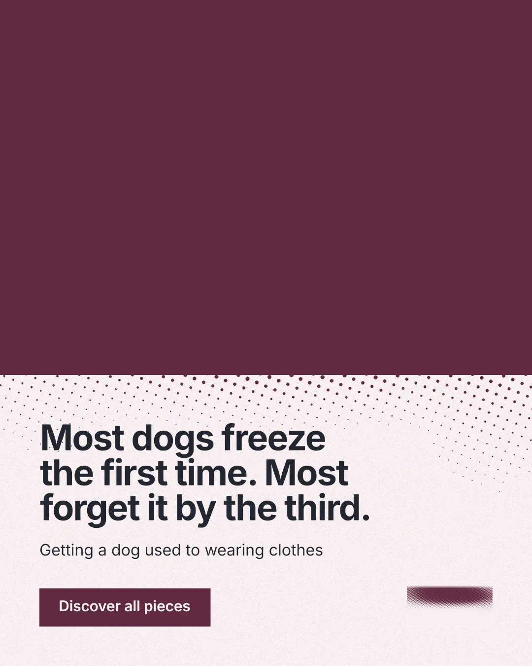 Instagram portrait post for By Teddy: "Most dogs freeze the first time. Most forget it by the third." Swiss style, bottom layout, light palette in red, white, grey.
