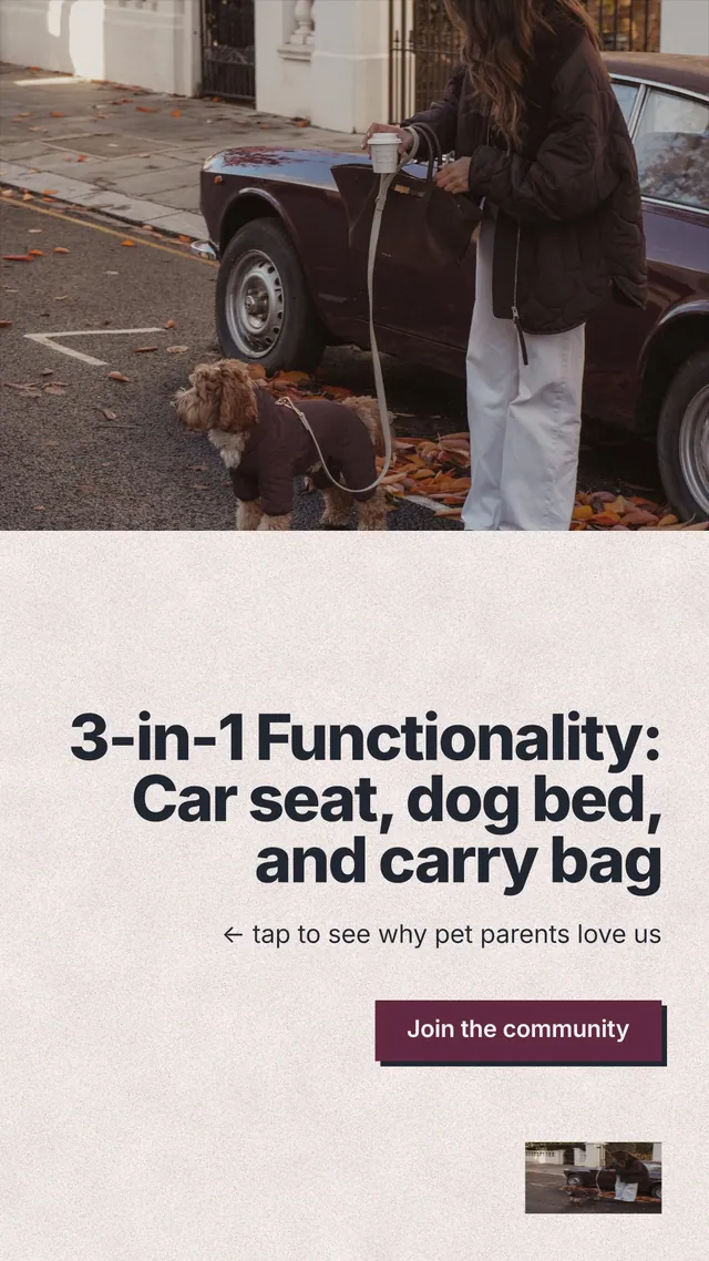 Instagram story for By Teddy: "3-in-1 Functionality: Car seat, dog bed, and carry bag". Paper trio style, right layout, light palette in black, grey, orange.