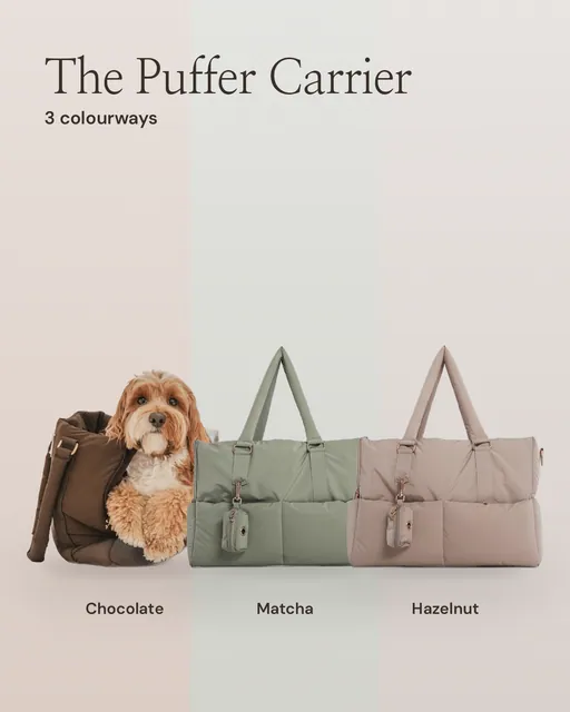 Carousel for By Teddy: Chocolate┃The Puffer Carrier in Chocolate. Colourway carousel, 5 slides, light palette.
