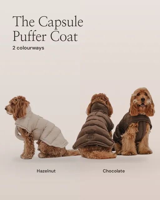 Carousel for By Teddy: Chocolate | The Capsule Puffer Coat in Chocolate. Colourway carousel, 4 slides, light palette.