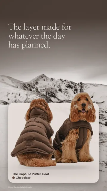 Video for By Teddy: Chocolate | The Capsule Puffer Coat in Chocolate. Context reveal, 6 s, light palette.
