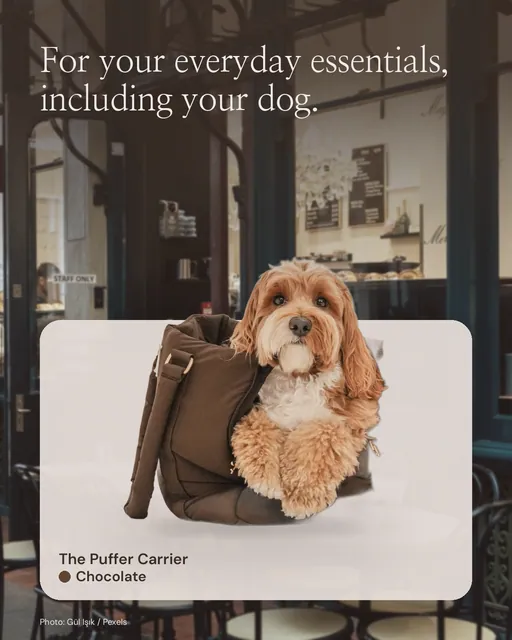 Instagram portrait post for By Teddy: Chocolate┃The Puffer Carrier in Chocolate. Product in context, dark palette.