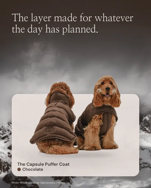 Instagram portrait post for By Teddy: Chocolate | The Capsule Puffer Coat in Chocolate. Product in context, light palette.