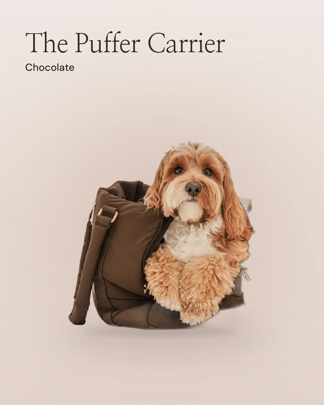 Video for By Teddy: Chocolate┃The Puffer Carrier in Chocolate. Colourway morph, 6 s, light palette.