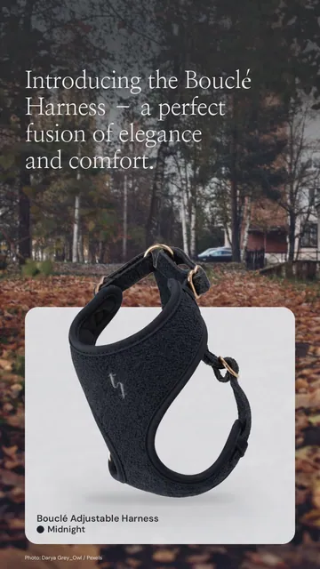 Instagram story for By Teddy: Midnight┃Bouclé Adjustable Harness in Midnight. Product in context, dark palette.