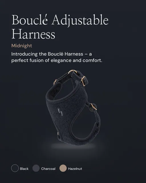 Instagram portrait post for By Teddy: Midnight┃Bouclé Adjustable Harness in Midnight. Product hero, dark palette.
