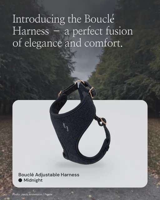 Instagram portrait post for By Teddy: Midnight┃Bouclé Adjustable Harness in Midnight. Product in context, light palette.