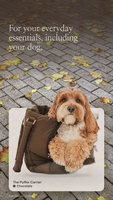 Instagram story for By Teddy: Chocolate┃The Puffer Carrier in Chocolate. Product in context, light palette.