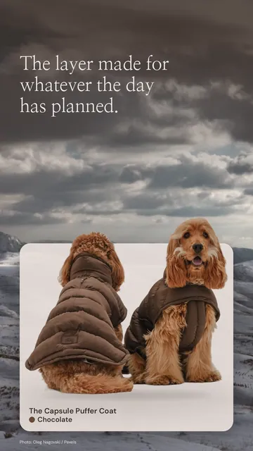 Instagram story for By Teddy: Chocolate | The Capsule Puffer Coat in Chocolate. Product in context, light palette.