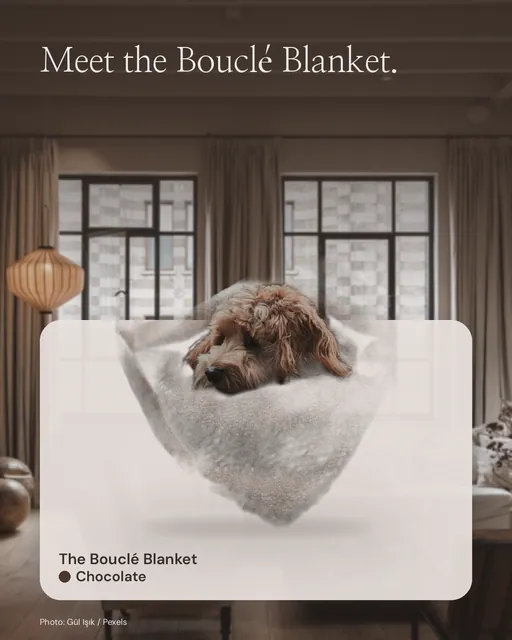 Instagram portrait post for By Teddy: The Bouclé Blanket in Chocolate. Product in context, light palette.